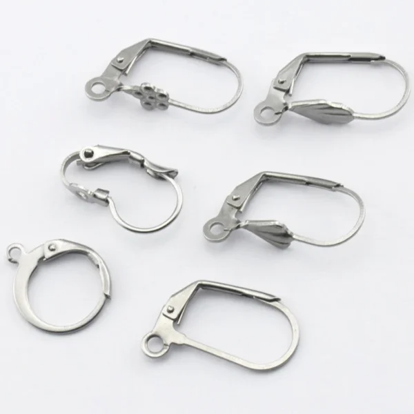 Earring Making Kit - 20Pcs Stainless Steel Hooks